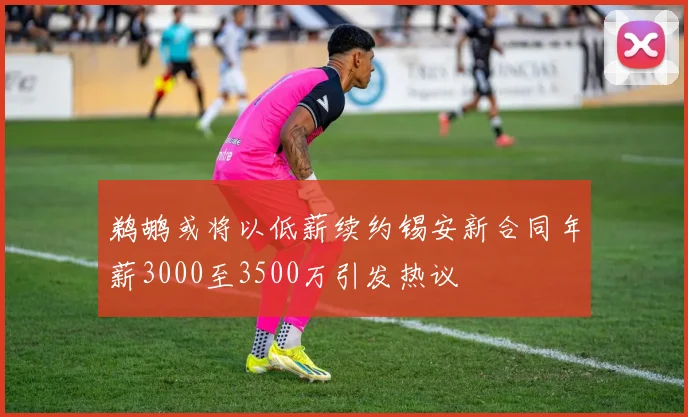 鹈鹕或将以低薪续约锡安新合同年薪3000至3500万引发热议