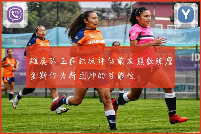 雄鹿队正在积极评估前灰熊教练詹金斯作为新主帅的可能性